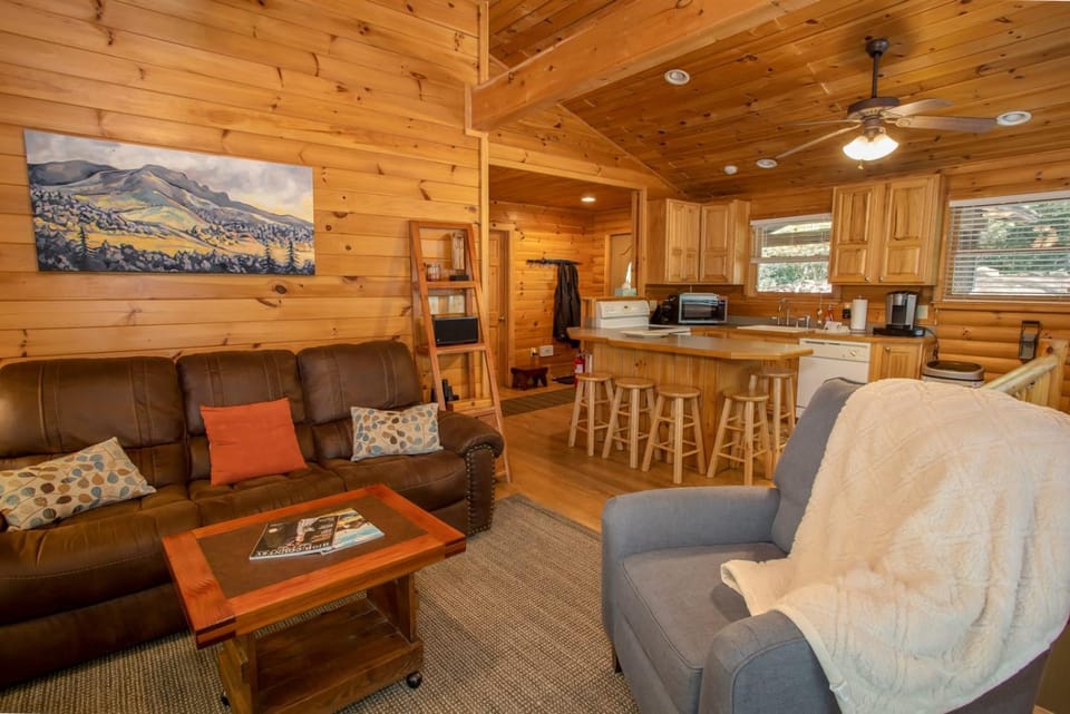 The Escape Cabin Cabin in Boone