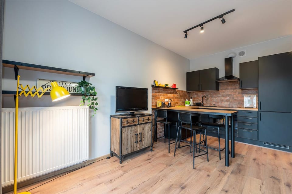 TV and multimedia, Kitchen or kitchenette, Living room, dishwasher, internet, stove