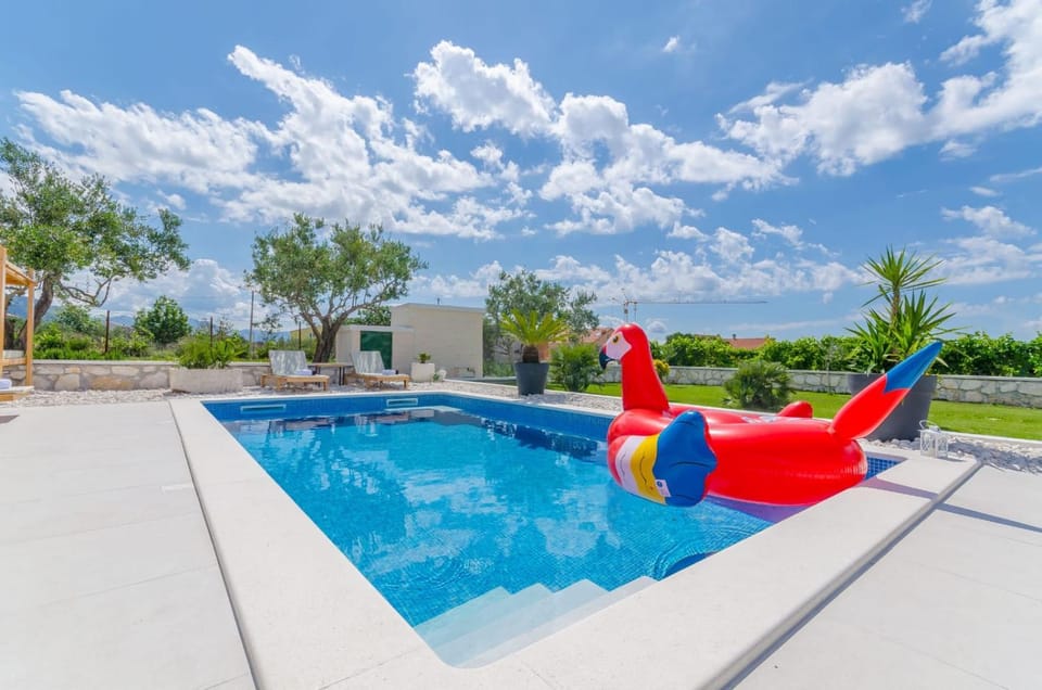 Pool view, Swimming pool, sunbed