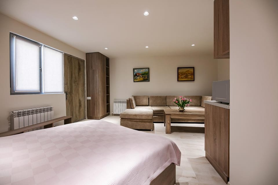 One room house in City Center Apartment in Yerevan