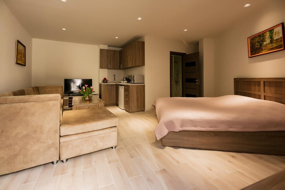 One room house in City Center Apartment in Yerevan