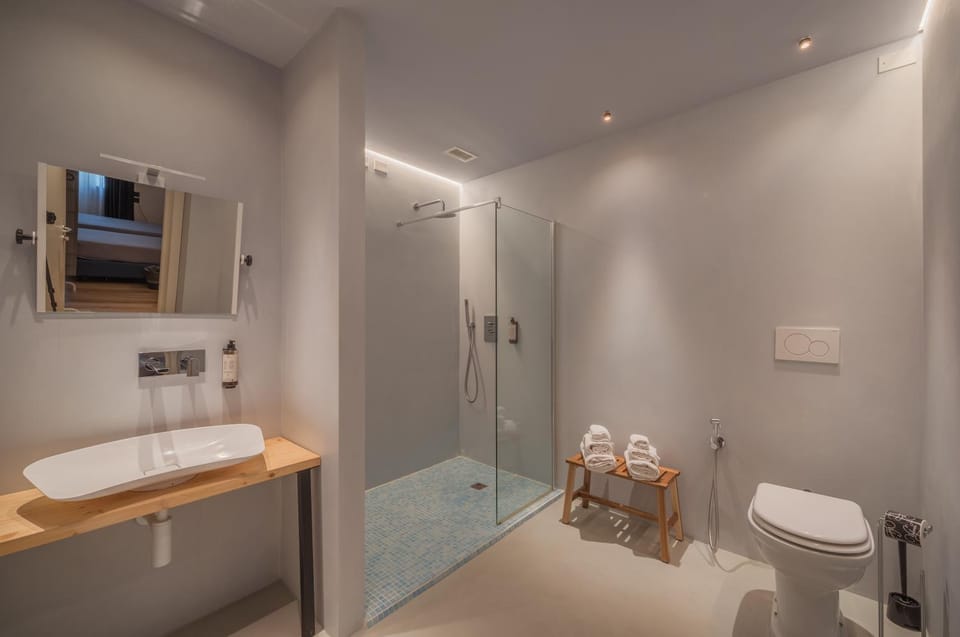 Toilet, Bathroom, Facility for disabled guests