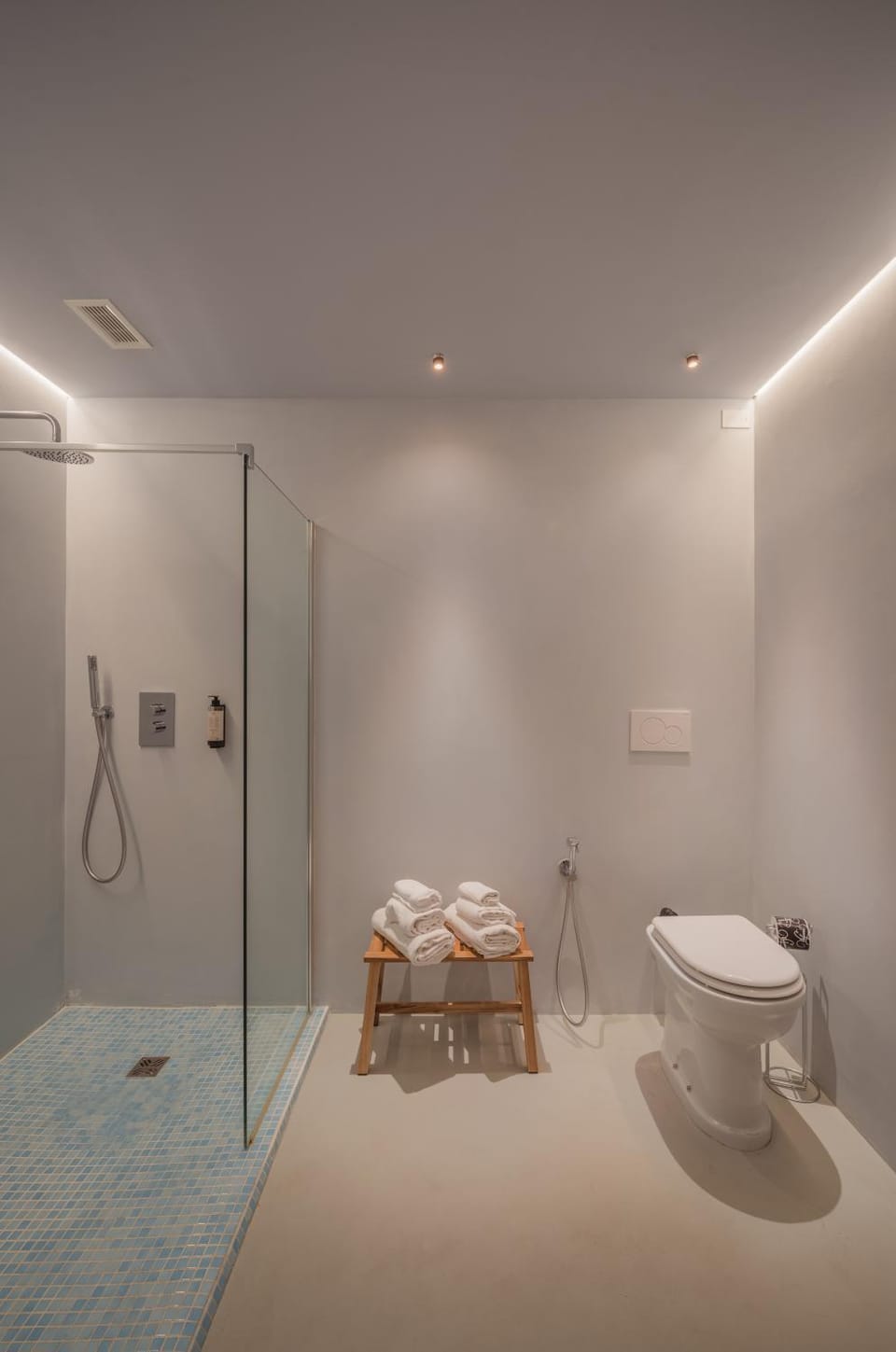Toilet, Bathroom, Facility for disabled guests