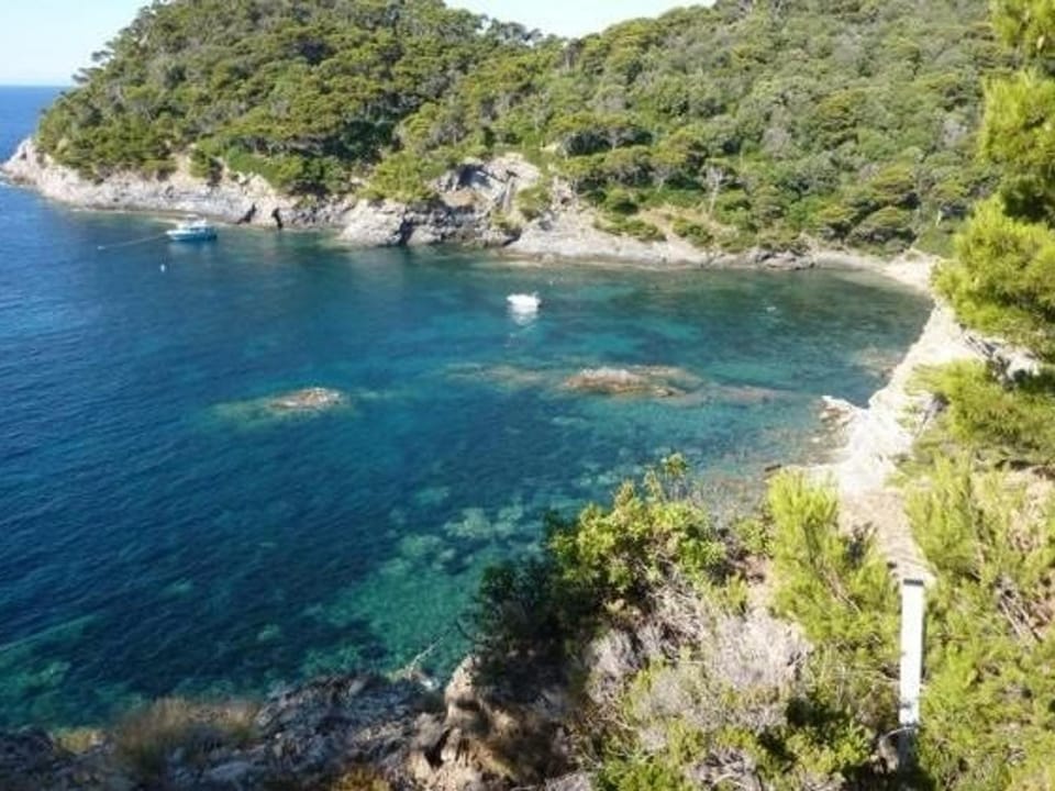 Charmant T2 à Giens avec grande terrasse, piscine et à proximité des plages - FR-1-335-160 Apartment in Hyères