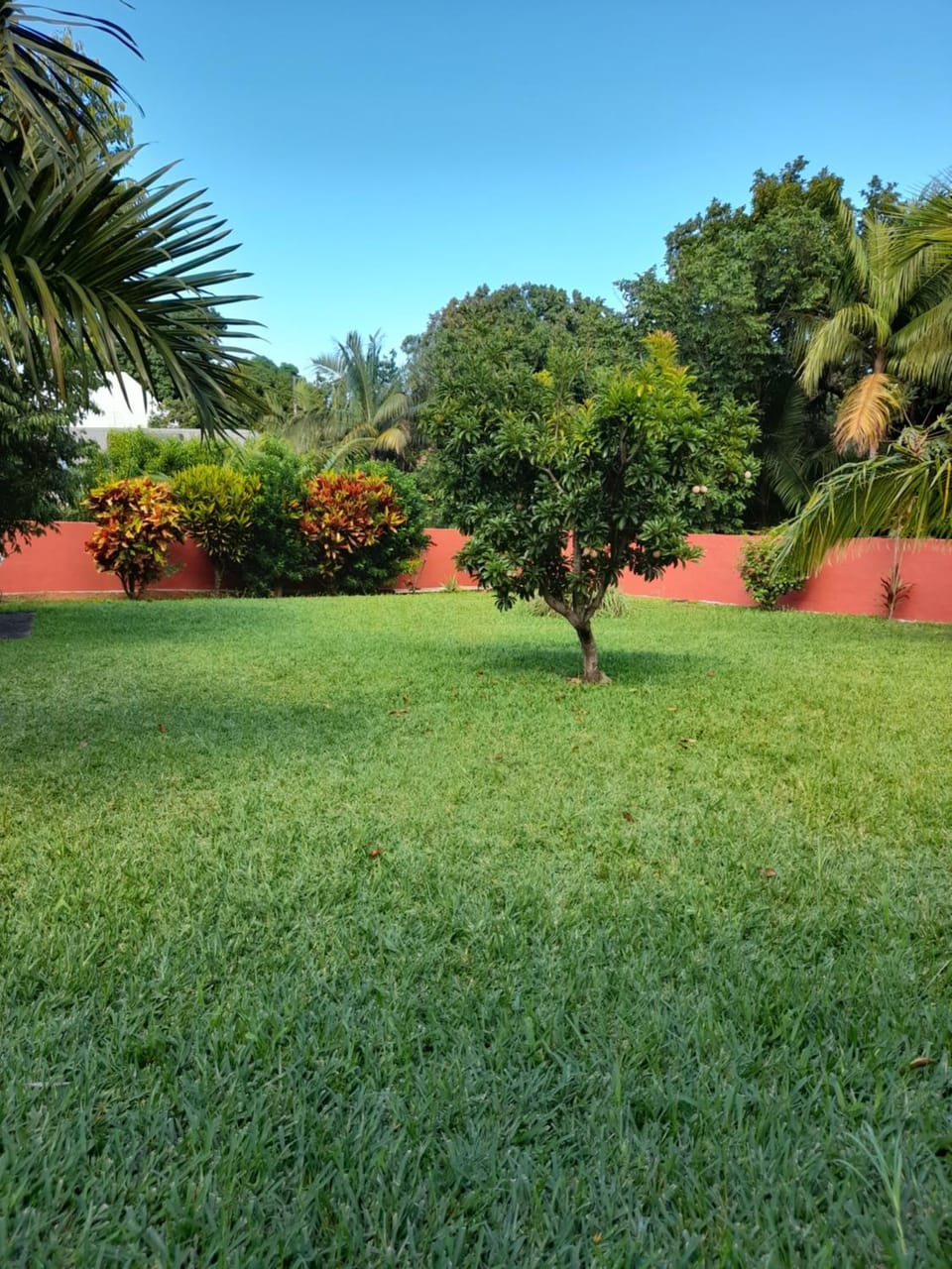 Inner courtyard view