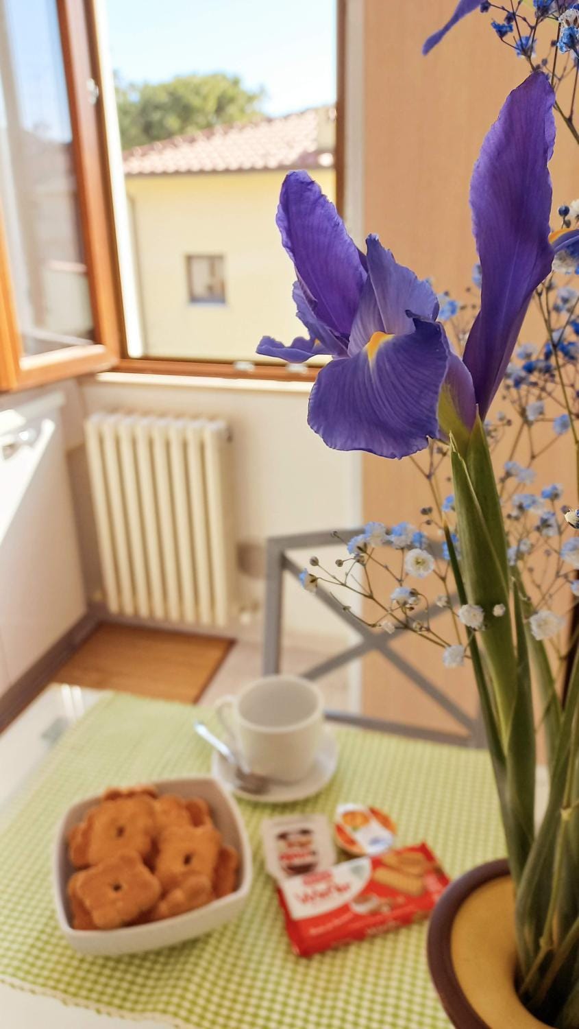 Kitchen or kitchenette, Food and drinks, Dining area, Food