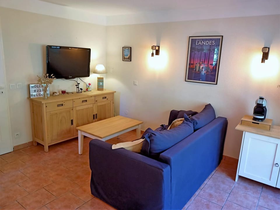 TV and multimedia, Living room