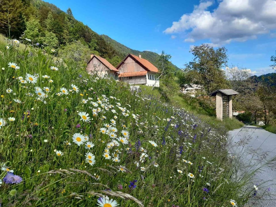 Miklavževa hiša with a bread oven House in Slovenia