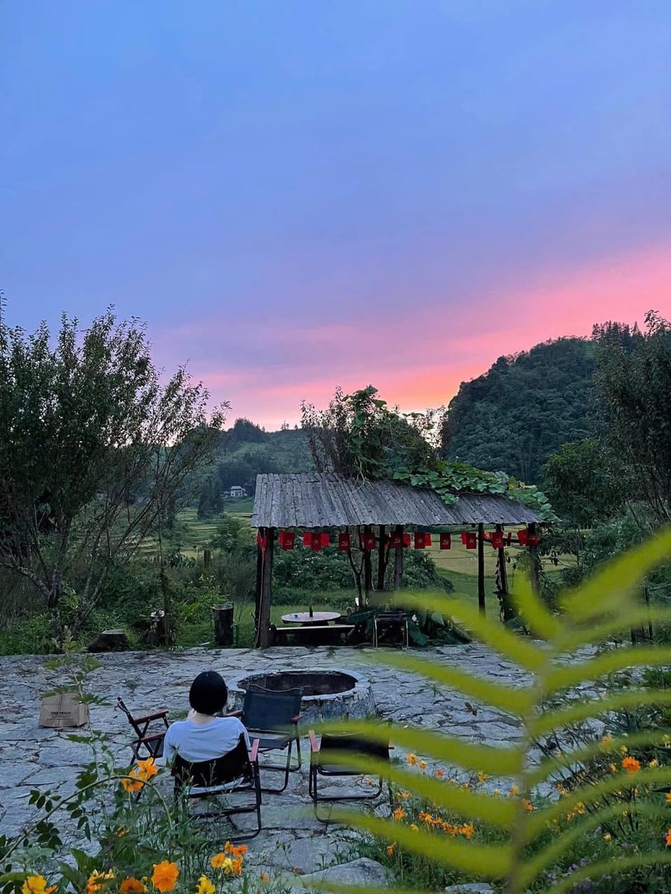 Natural landscape, Garden view, Sunset