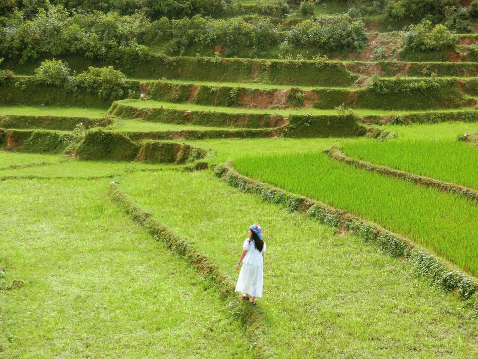 People, Natural landscape, Garden