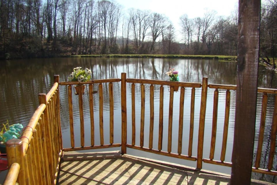 La cabane au bord de l'eau House in Nouvelle-Aquitaine