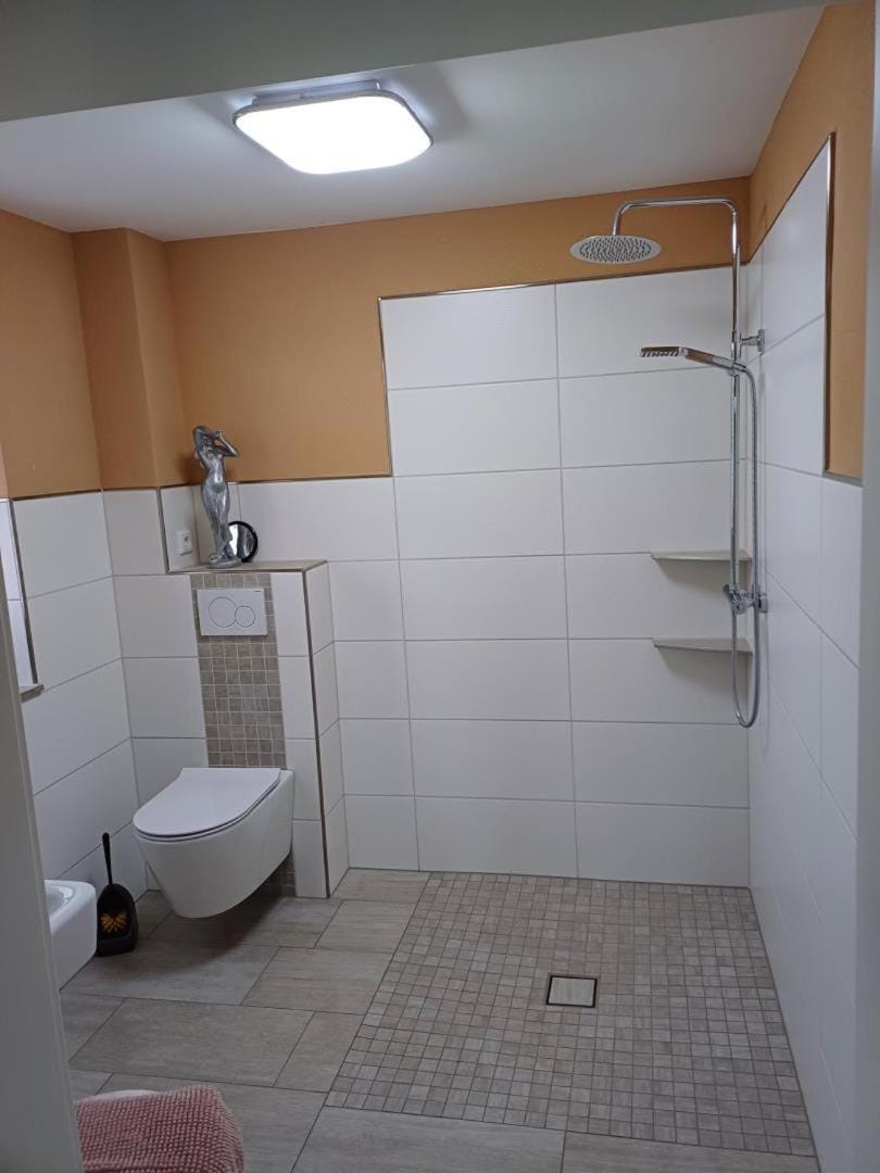 NEU Apartment Hanka Apartment in Saxony