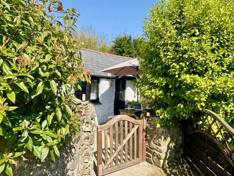 Property building, Garden view