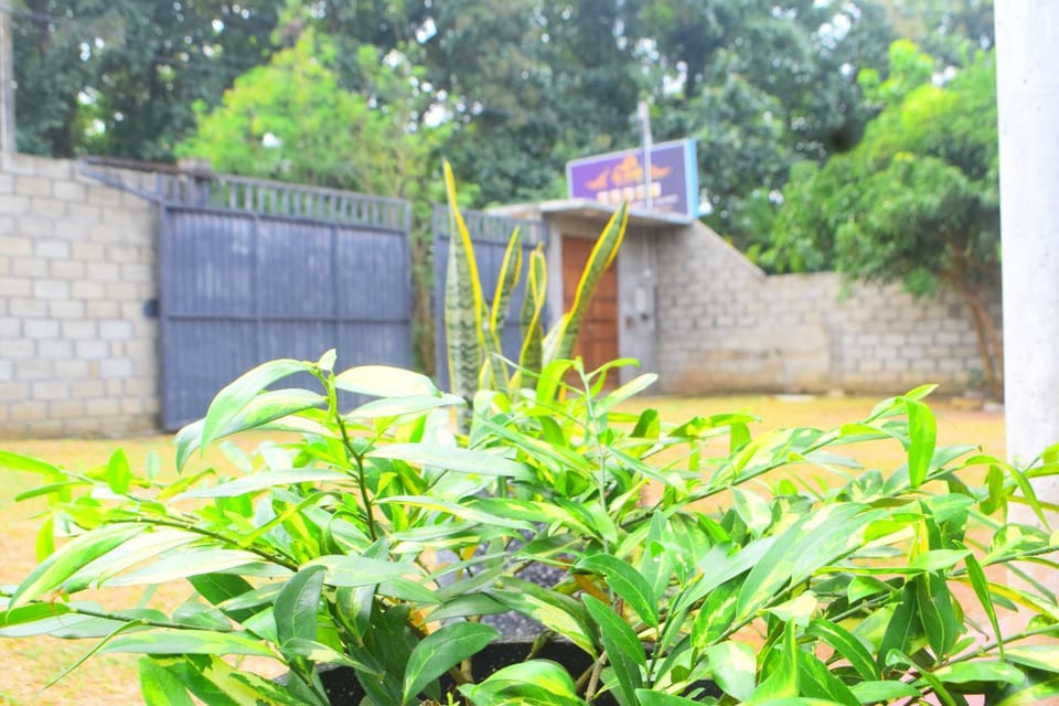 Garden, Garden