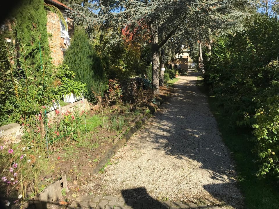 Spring, Natural landscape