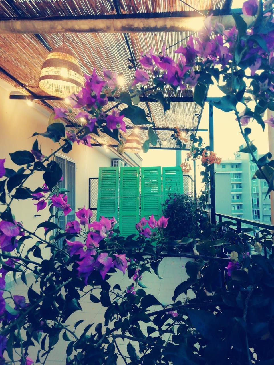 Spring, Garden, Garden, Balcony/Terrace, Garden view