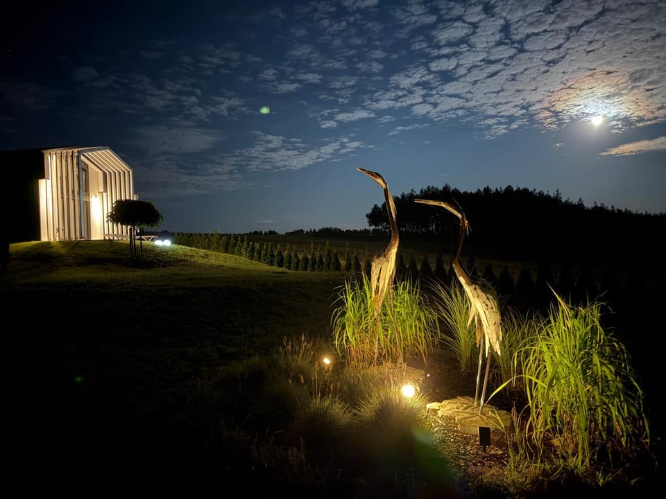Night, Natural landscape, Garden view