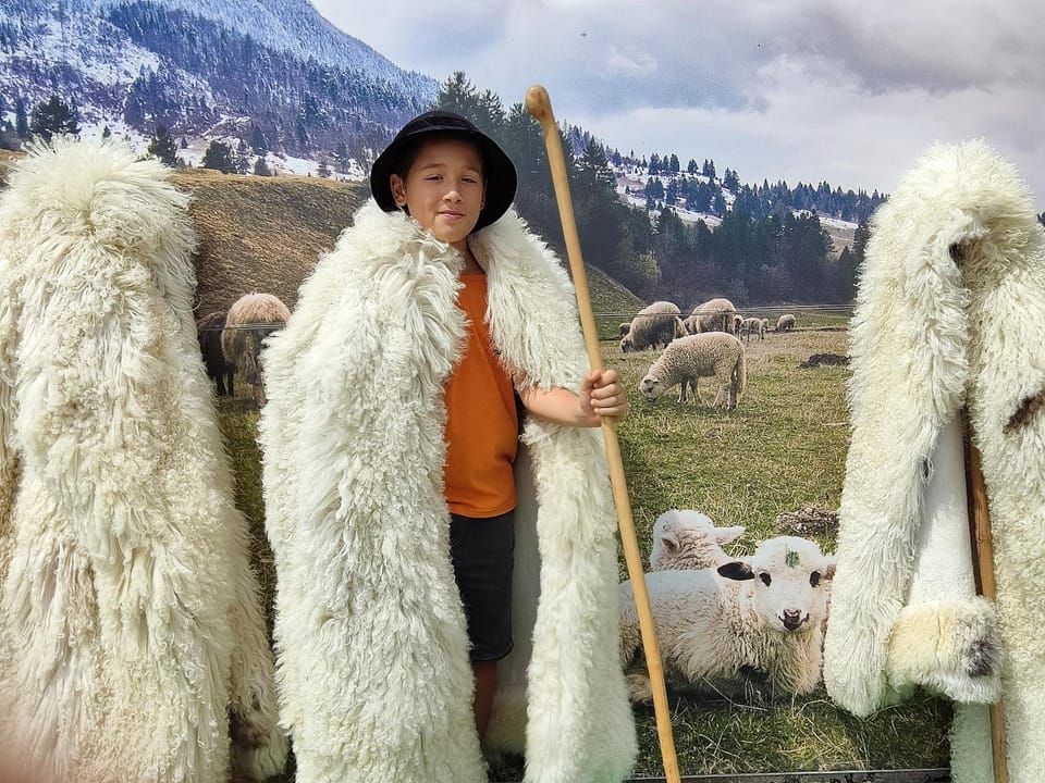Nearby landmark, Day, Natural landscape, Animals