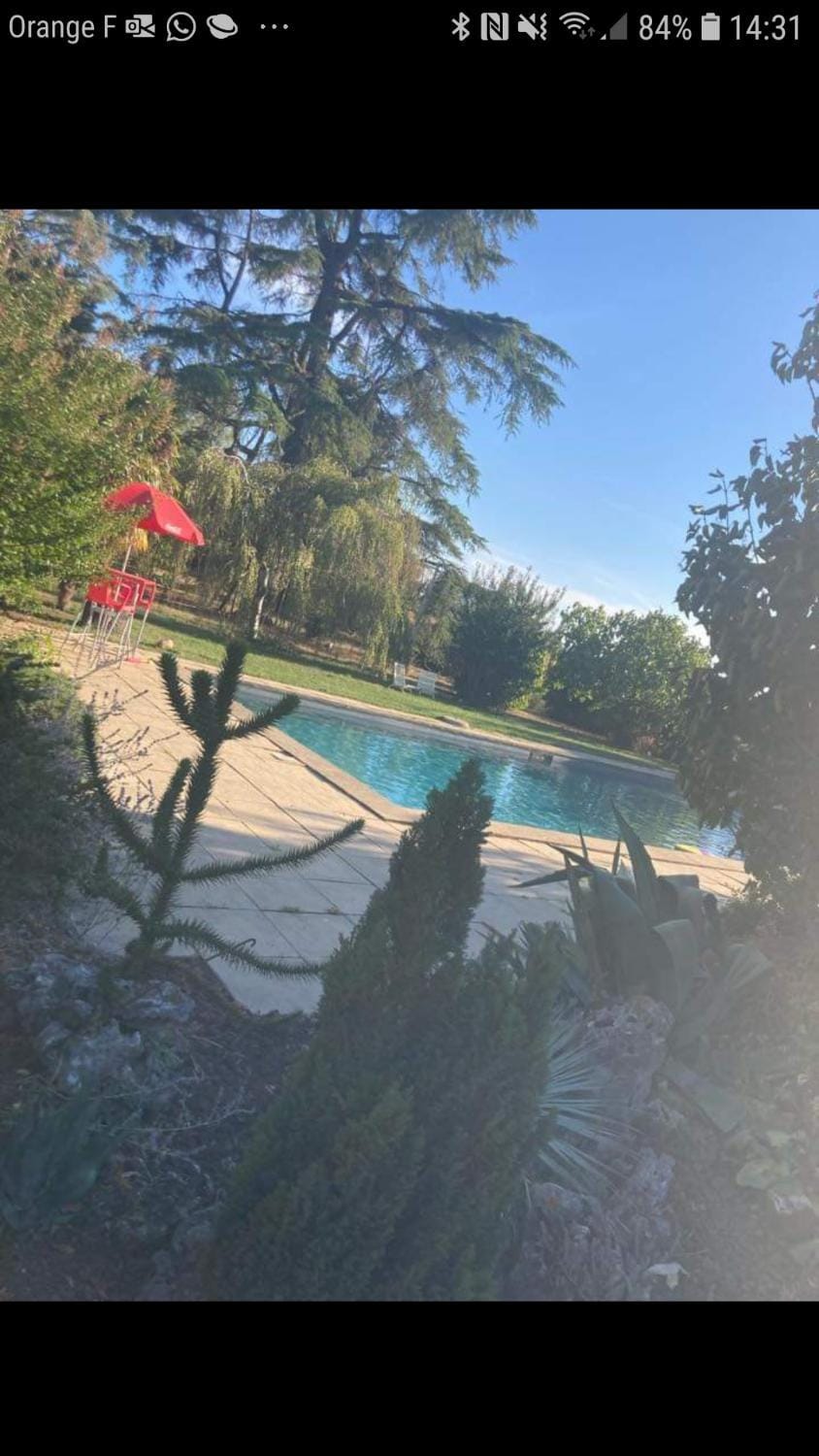 Pool view