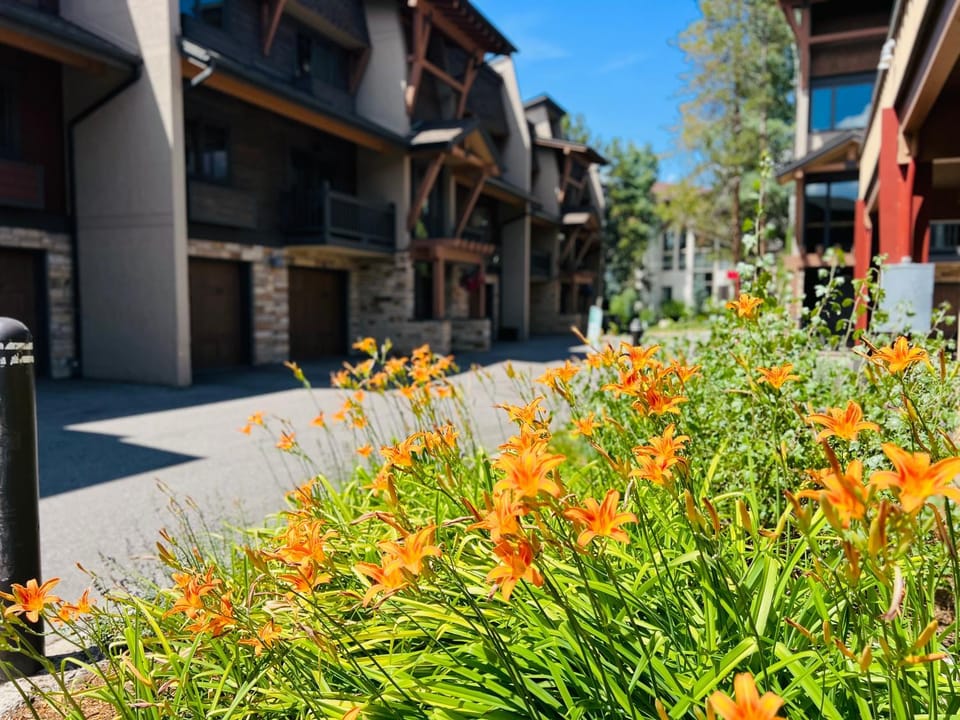 Phoenix 225 House in Steamboat Springs