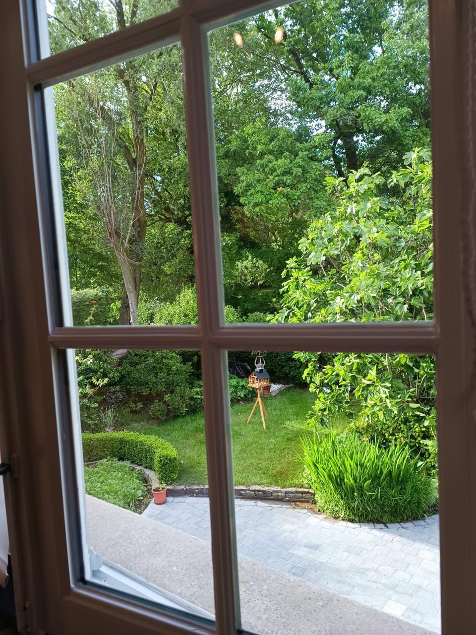 Garden view