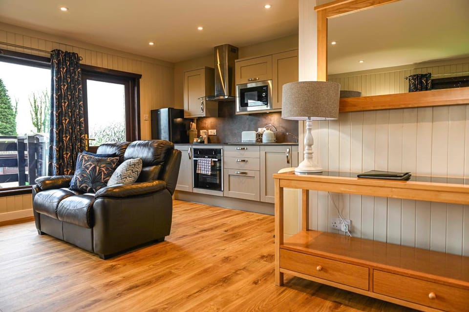 Kitchen or kitchenette, Living room, Seating area, dishwasher, pet friendly, stove, toaster