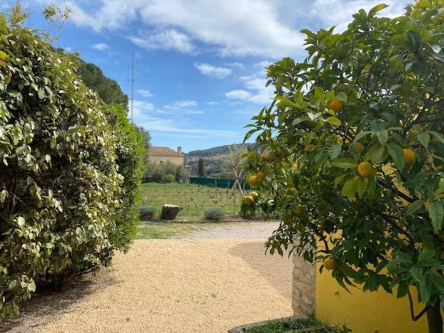 Maison Cadière d'Azur House in La Cadière-d'Azur