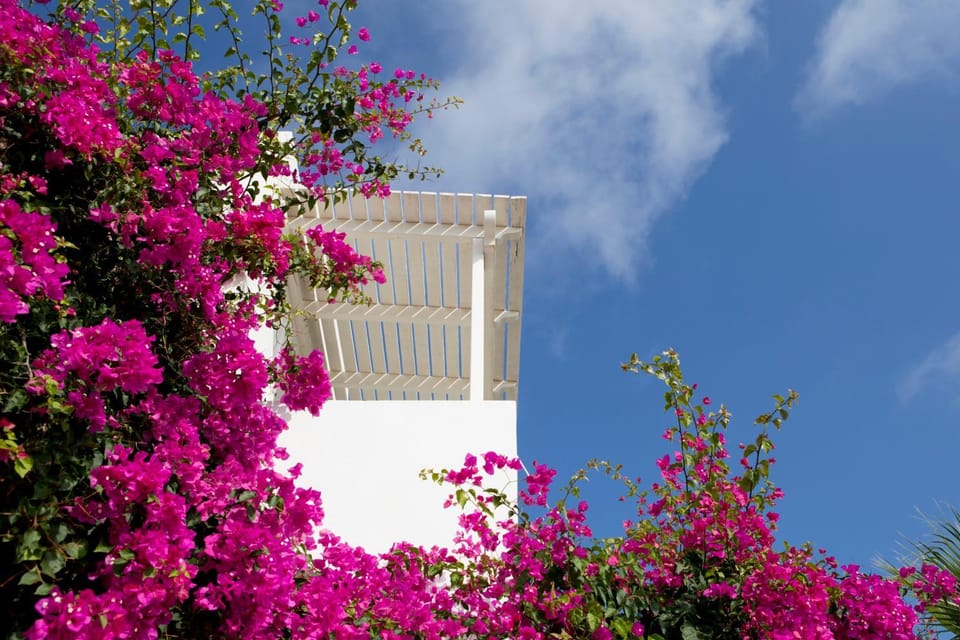 Property building, Garden, Balcony/Terrace