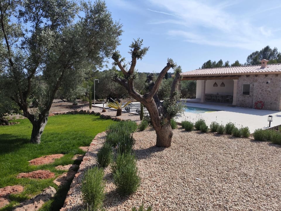 Patio, Garden, Garden view