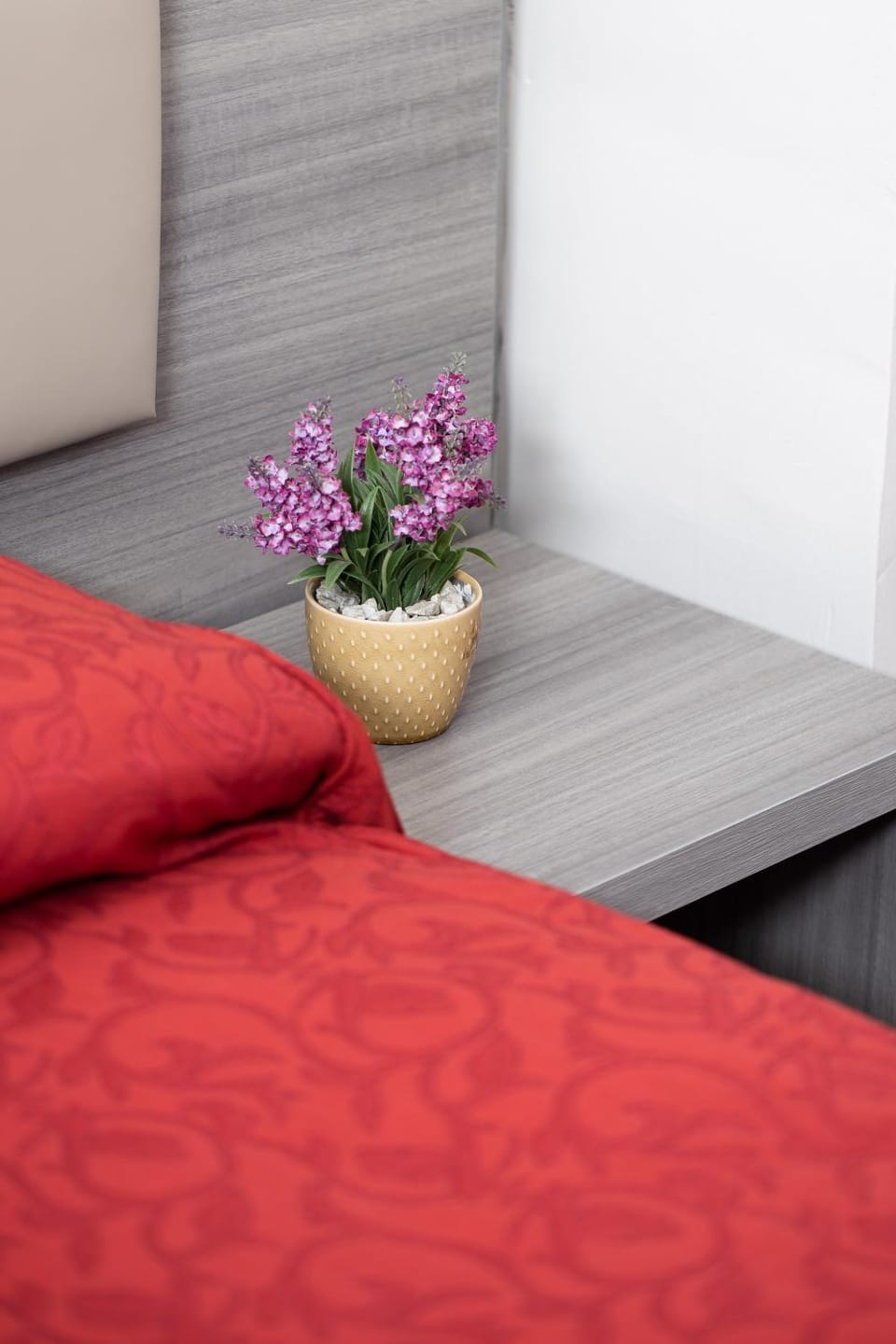 Affittacamere Alessia Bed and Breakfast in Sanremo