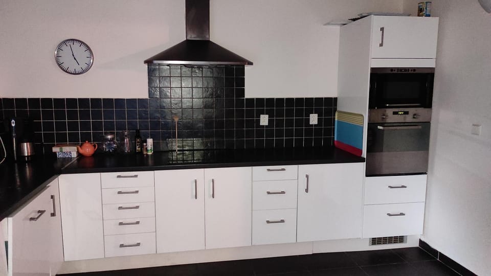 Kitchen or kitchenette, dishwasher, minibar, pet friendly, stove