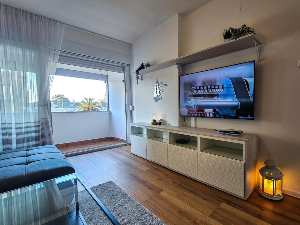 TV and multimedia