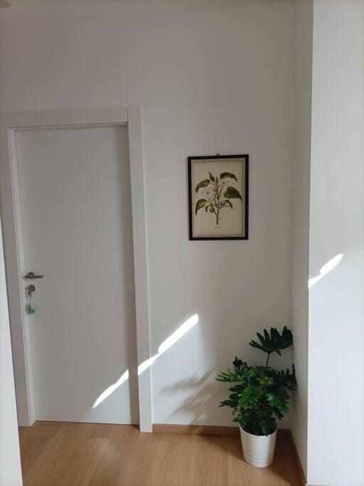 Loving My Rooms 1 - Deliziosa Mansarda in Centro Apartment in Gorizia