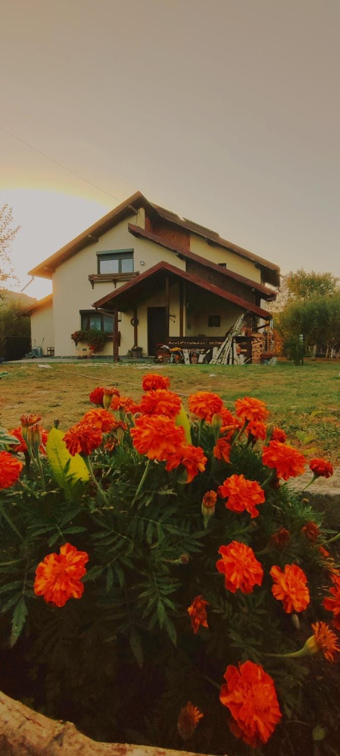 Property building, Garden, Autumn, Garden view