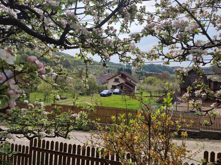 Property building, Spring, Natural landscape, Garden