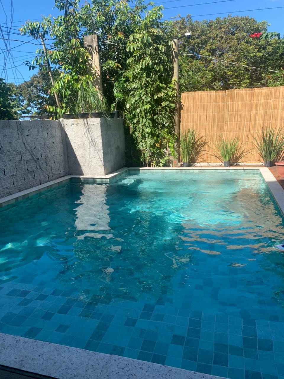 Day, Pool view, Swimming pool