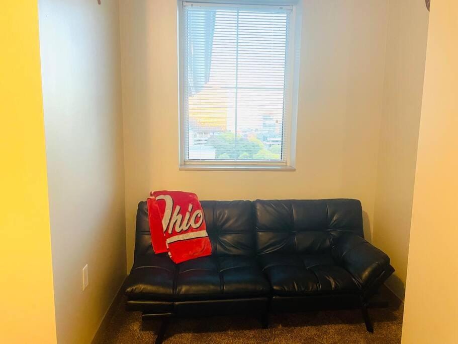 King Size with OSU Theme! Apartment in Ohio