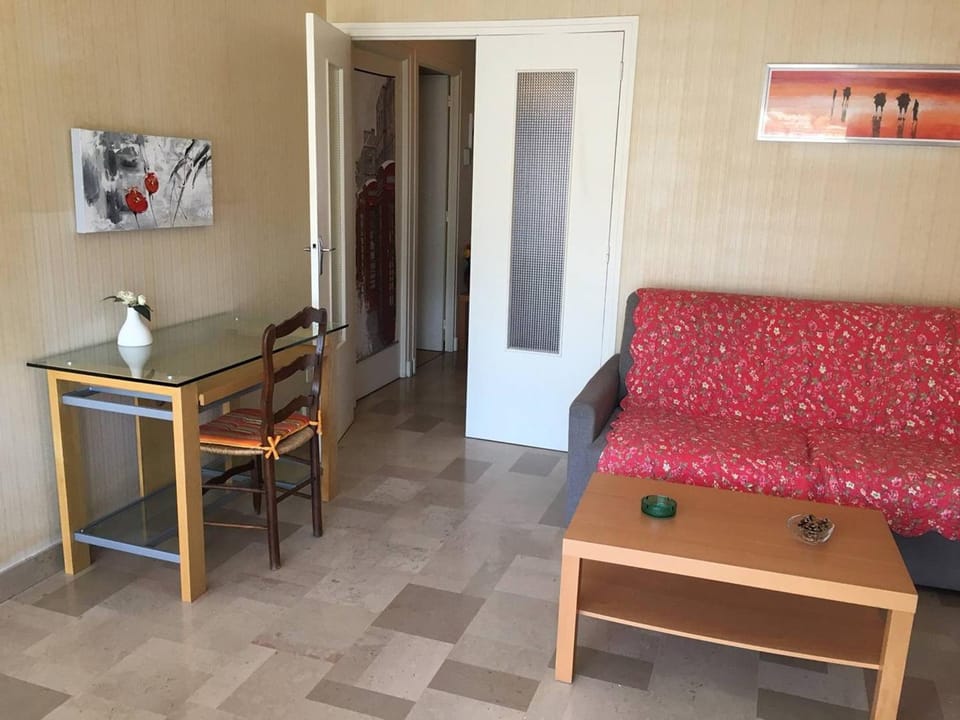 Appartement F2 avec Terrasse, Parking et WiFi, Animaux Acceptés, proche Amélie-les-Bains. - FR-1-703-13 Apartment in Alt Empordà
