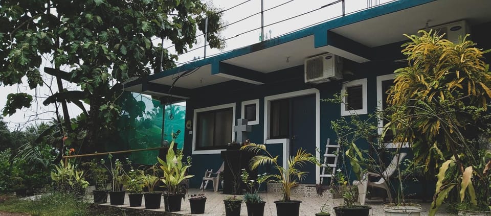 Property building, Spring, Day, Garden, Garden view