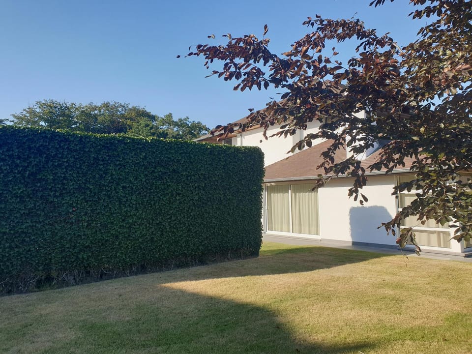 Thibault 1 House in Flanders