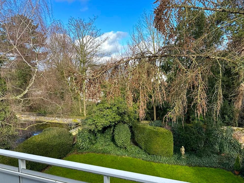 Natural landscape, Garden, Garden view