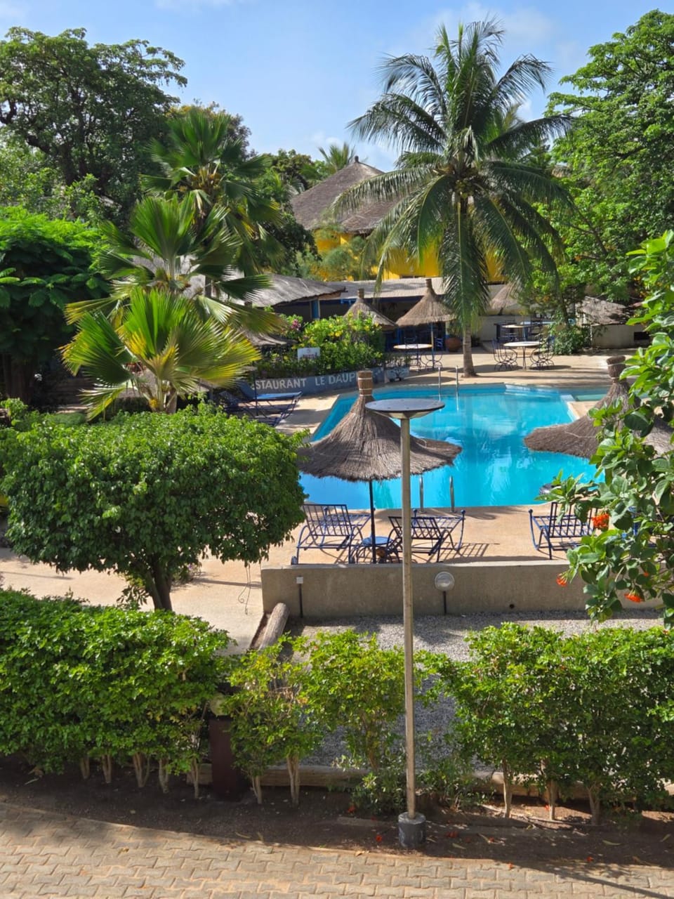 Spring, Day, Natural landscape, Garden, Garden view, Pool view, Swimming pool, sunbed