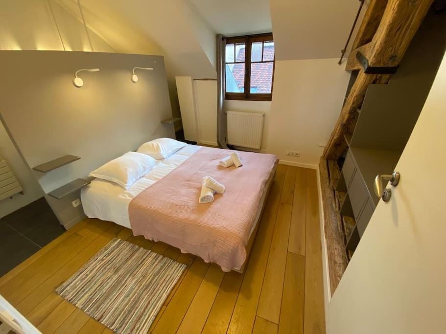 Annecy City, au cœur de la vieille ville Apartment in Annecy