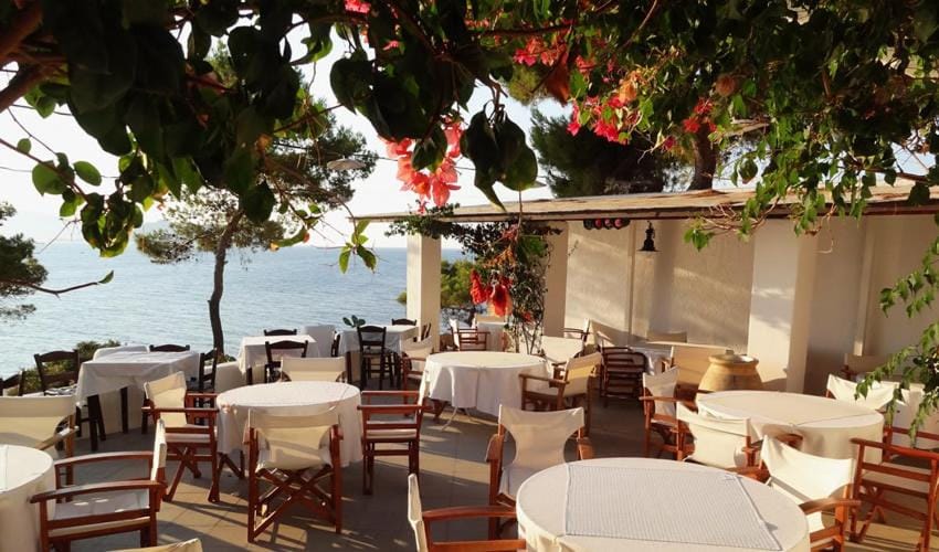 Day, Lounge or bar