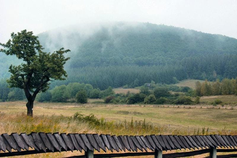 Natural landscape, Garden, Mountain view