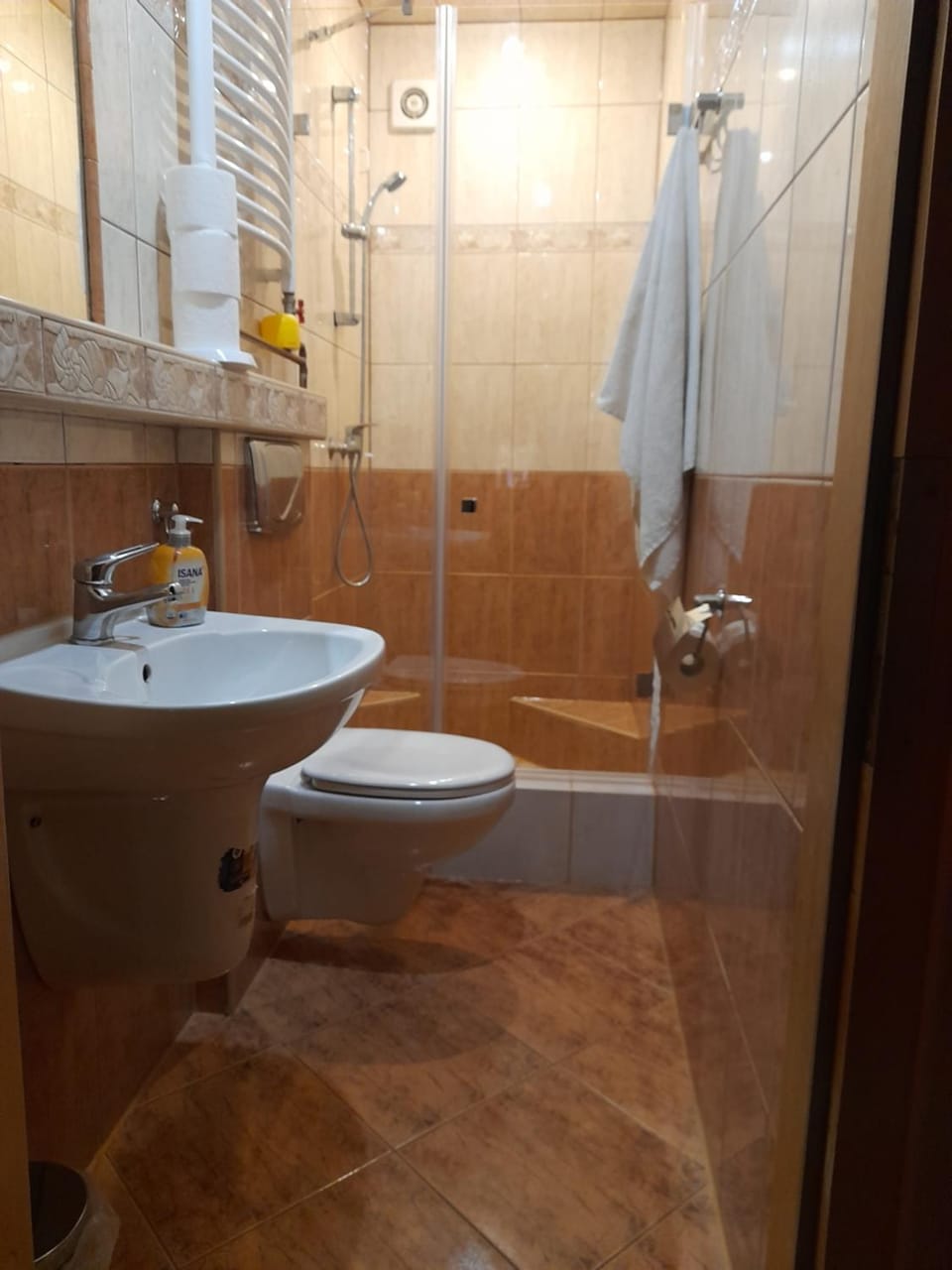 Shower, Toilet, Bathroom, towels