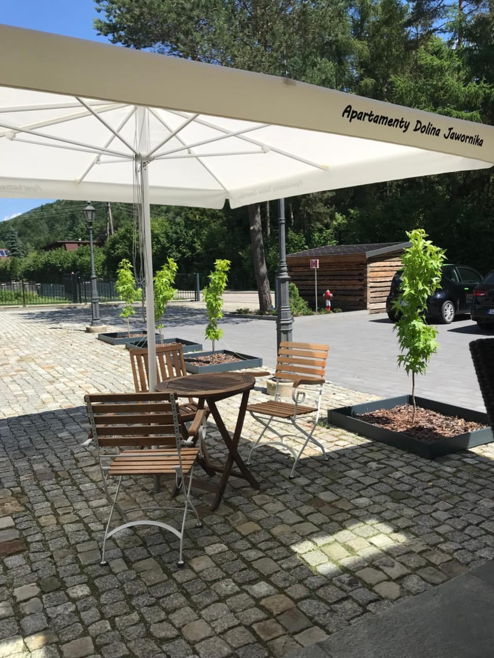 Patio, Spring, Day, Natural landscape