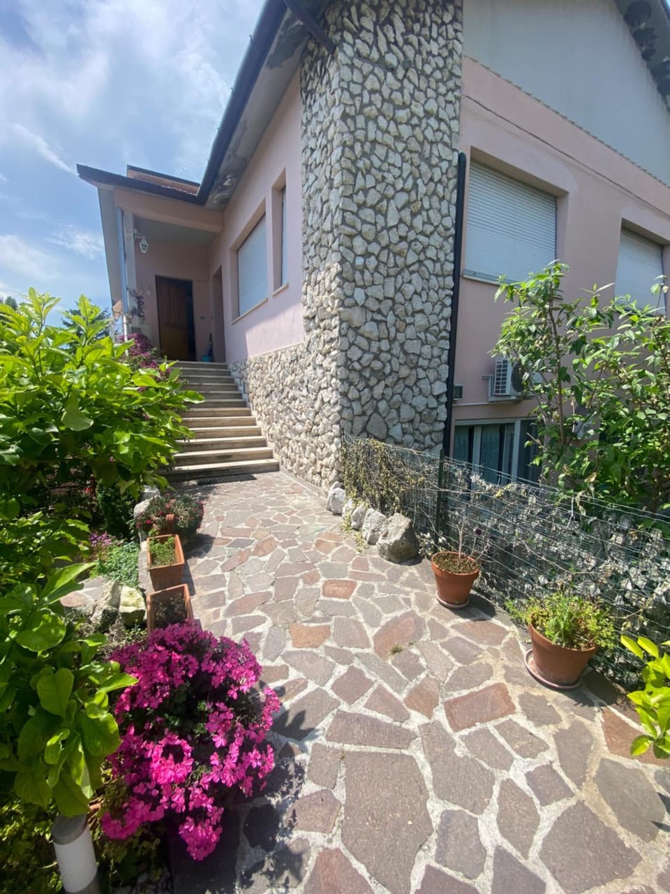 Property building, Garden, Garden view