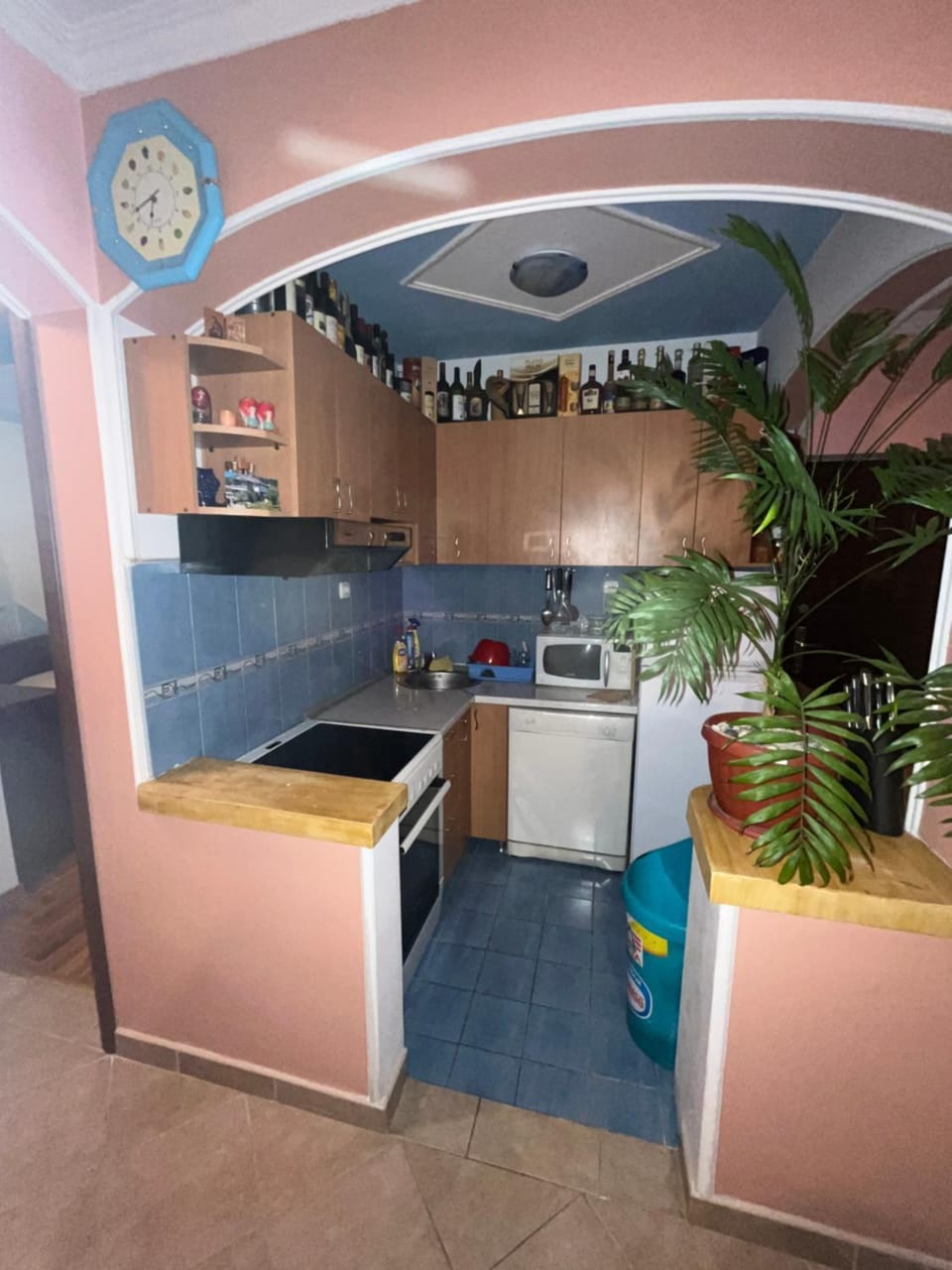 Kitchen or kitchenette, dishwasher, minibar, pet friendly, stove