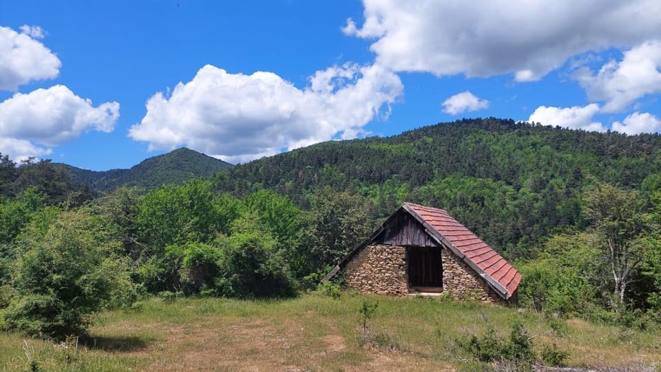 Natural landscape